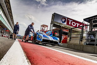 开云体育平台APP-HLE碾压DFM，369成为全场焦点八强赛3:1（釜山）