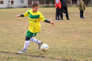 开云平台-法国乒乓球队爆冷德国乒乓球队，张本智和高光表现