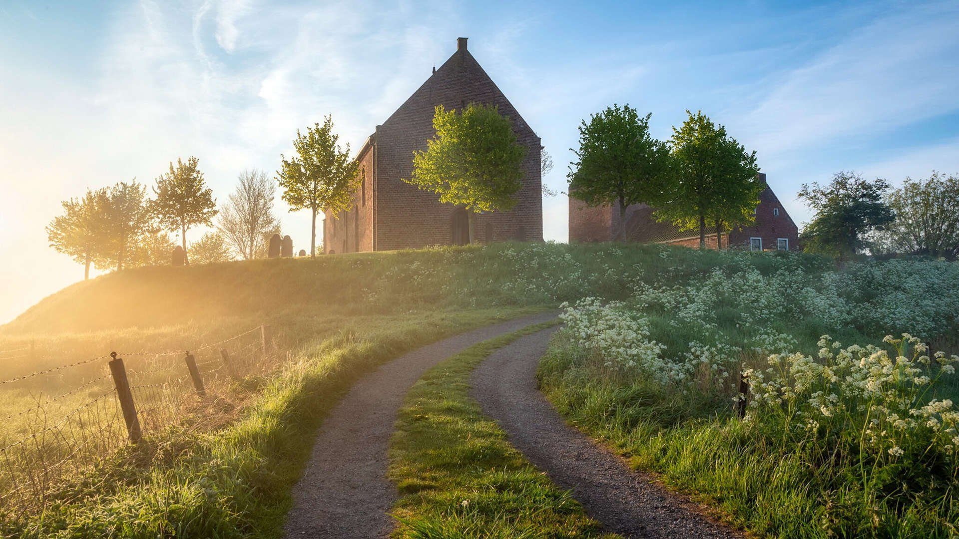 开云体育入口-范弗利特导演逆转好戏，25+12诠释现代控卫终极形态