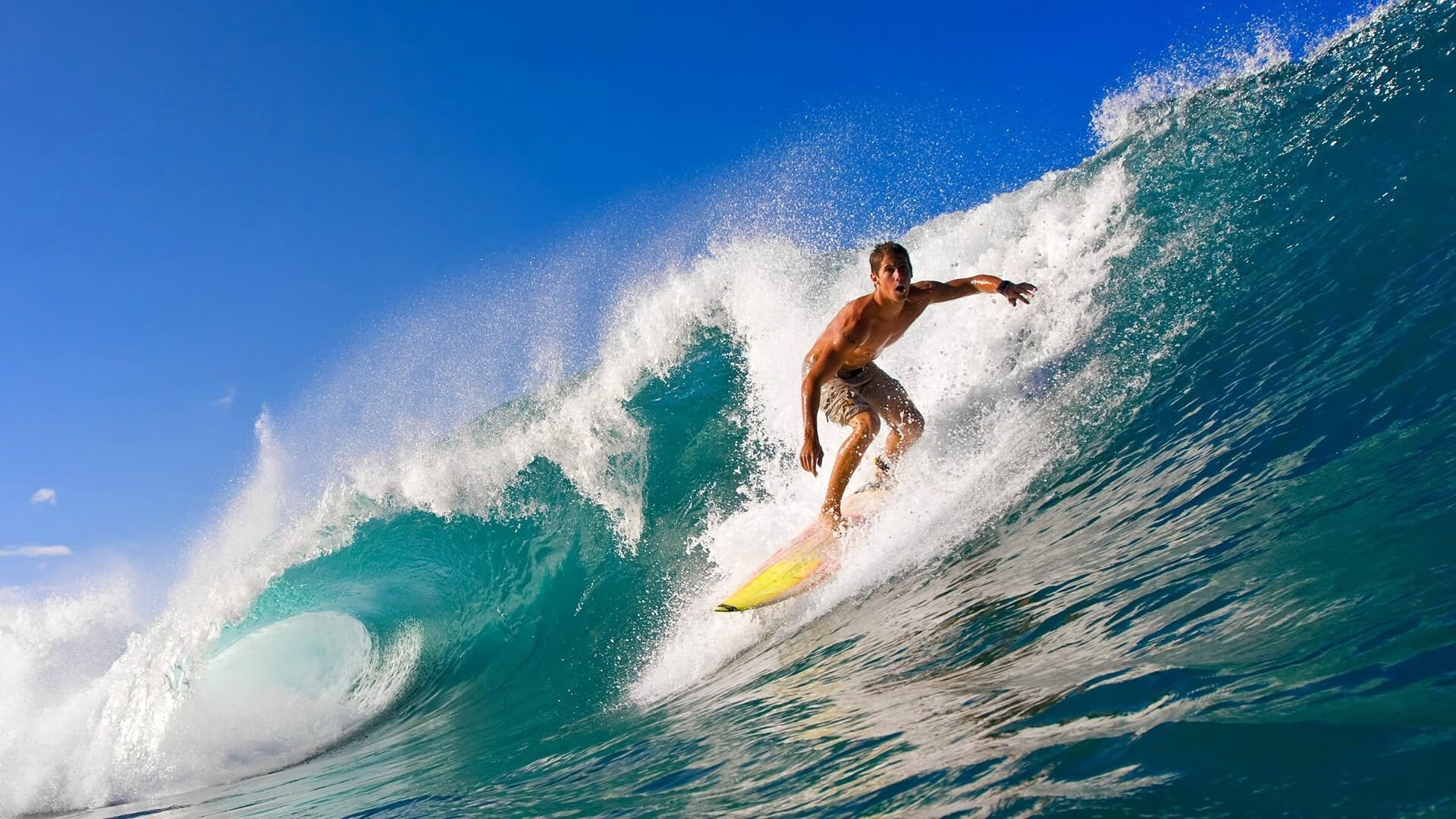 从波特兰到柏林，保罗的降维打击与篮球世界的平行宇宙