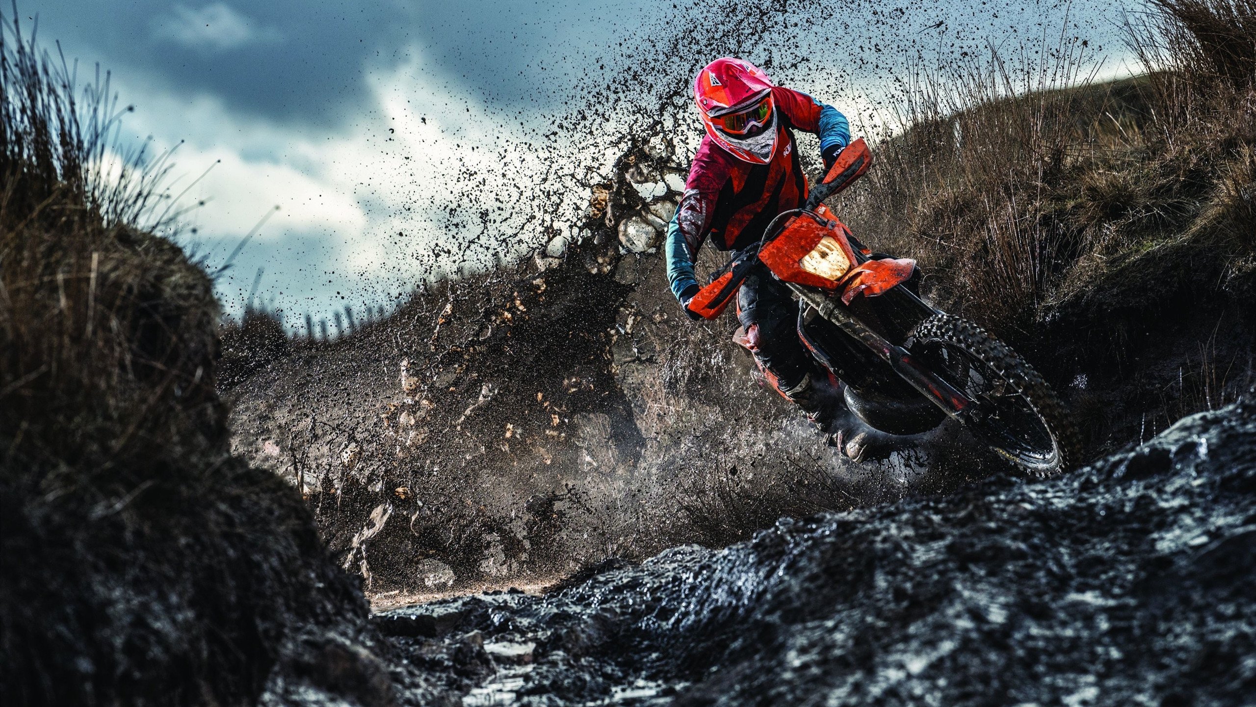 蓝色巨鲸的利齿，马丁内利风暴撕碎三狮军团的不败金身